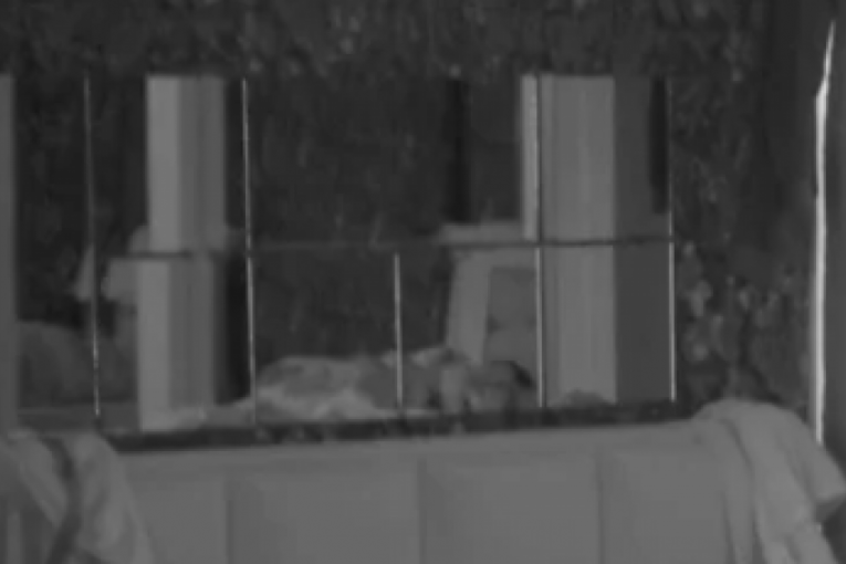 Sofija Janićijević i Borislav Terzić Terza