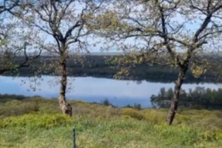 Imanje Slobode Mićalović