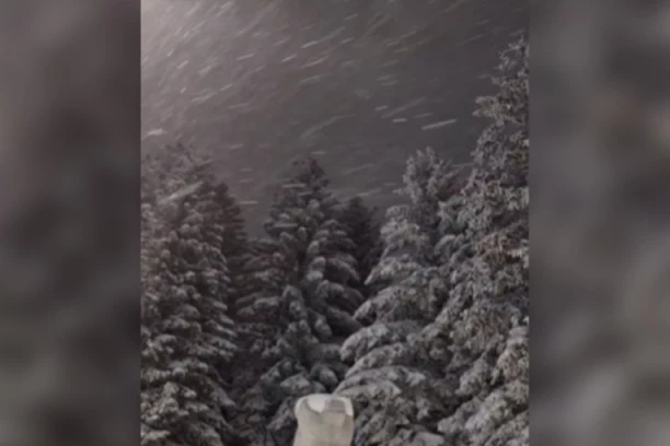 PRAVA ZIMSKA IDILA! Na Kopaoniku sneg visine 36 cm! (VIDEO)