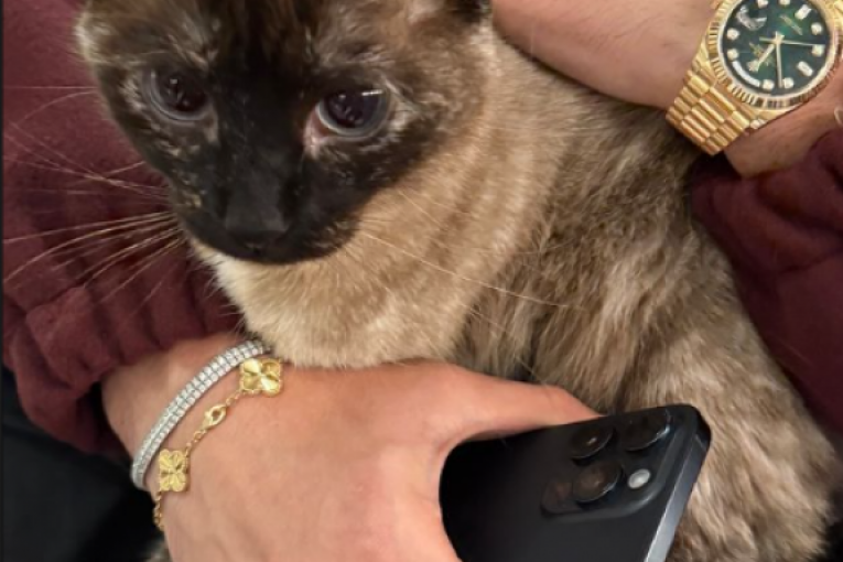 Vojaž uživa u Sevilji