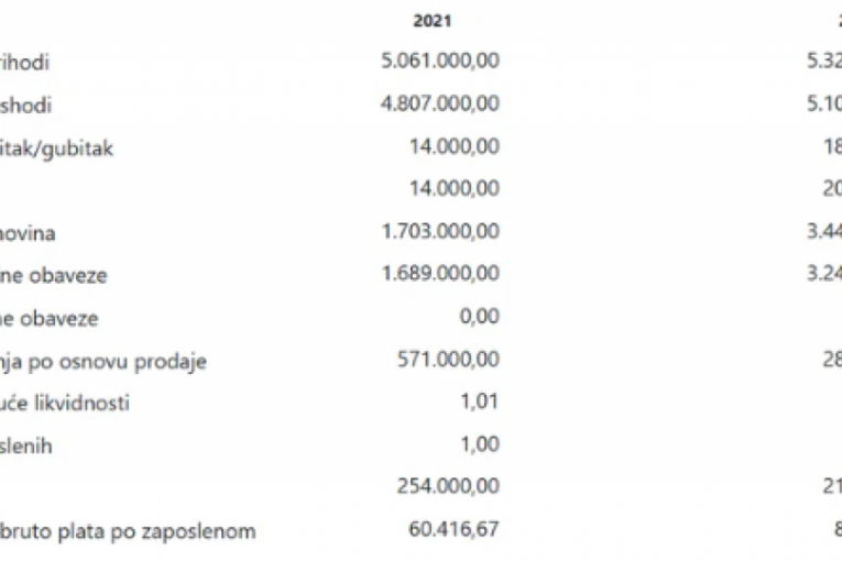 Podaci o Sofijinoj firmi
