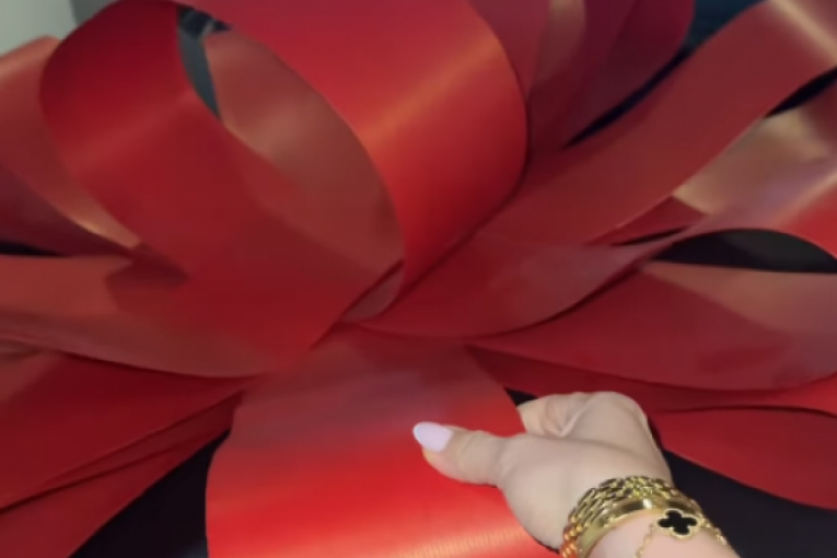 Jelena Karleuša novi automobil