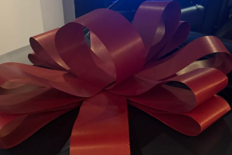 Jelena Karleuša novi automobil