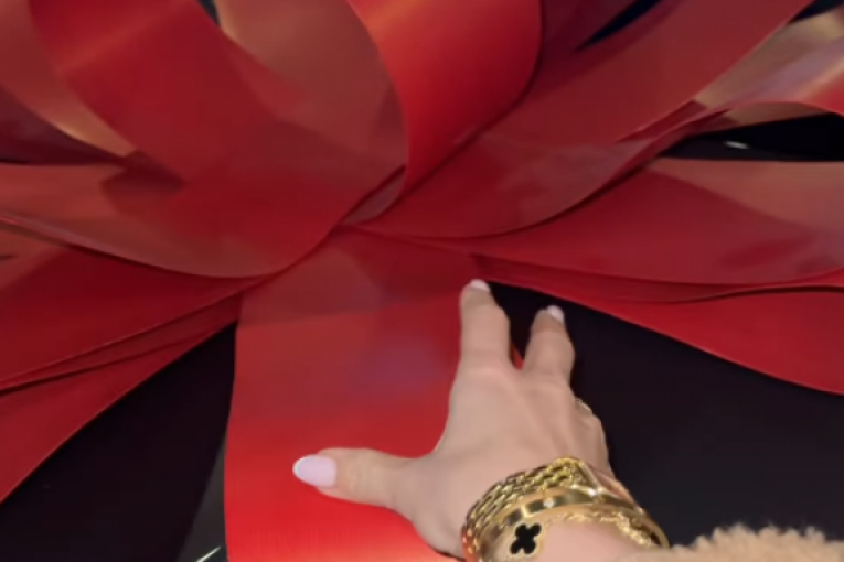 Jelena Karleuša novi automobil