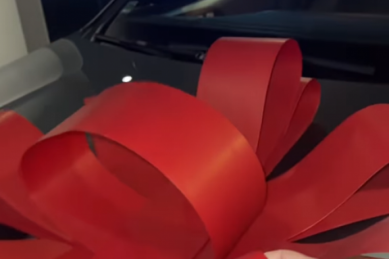 Jelena Karleuša novi automobil