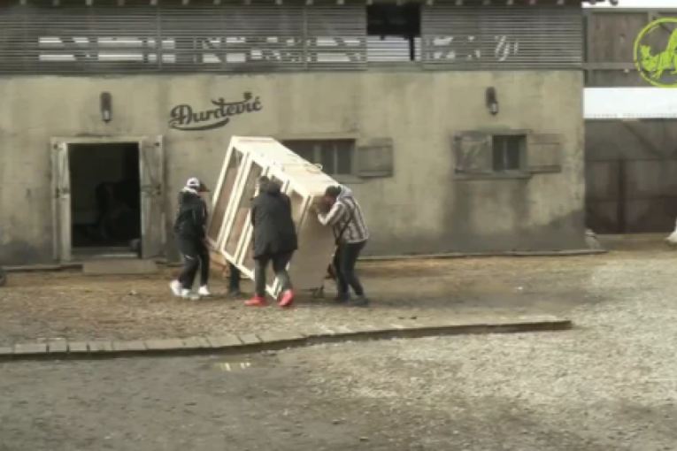 Kristijan Golubović