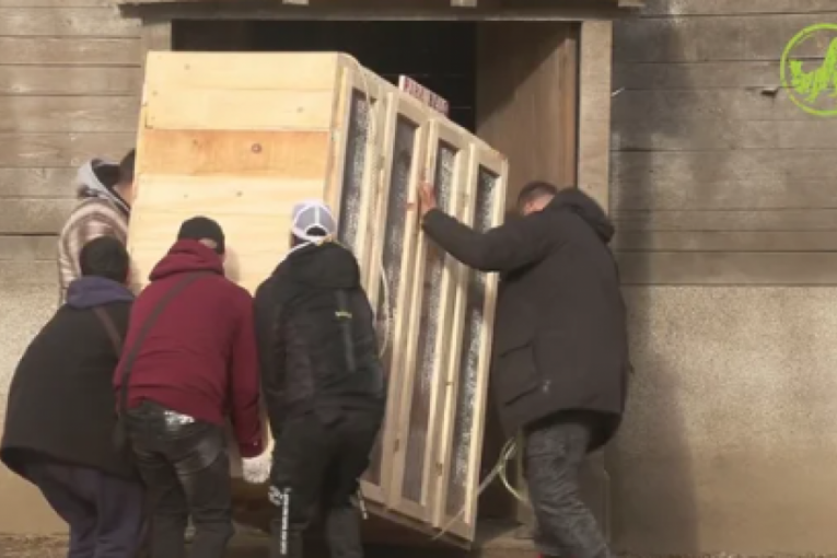 Kristijan Golubović