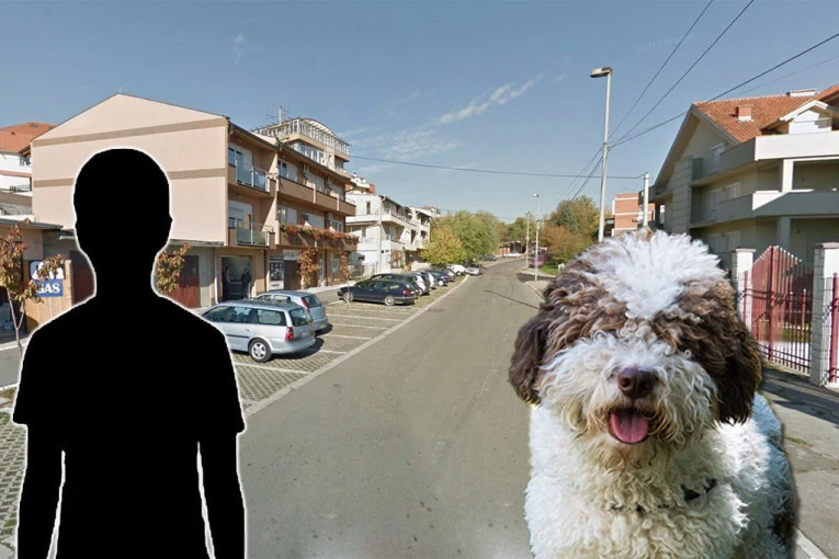 POZNATO U KAKVOM JE STANJU DEČAK KOG JE IZUJEDAO PAS U RAKOVICI! Oglasio se njegov rođak: "Bilo je pitanje vremena kad će to da se desi!"