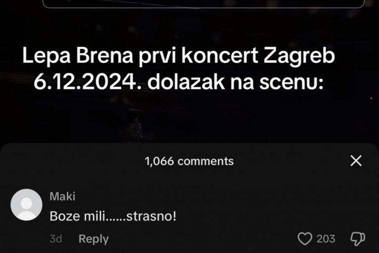 Komentari na račun Lepe Brene