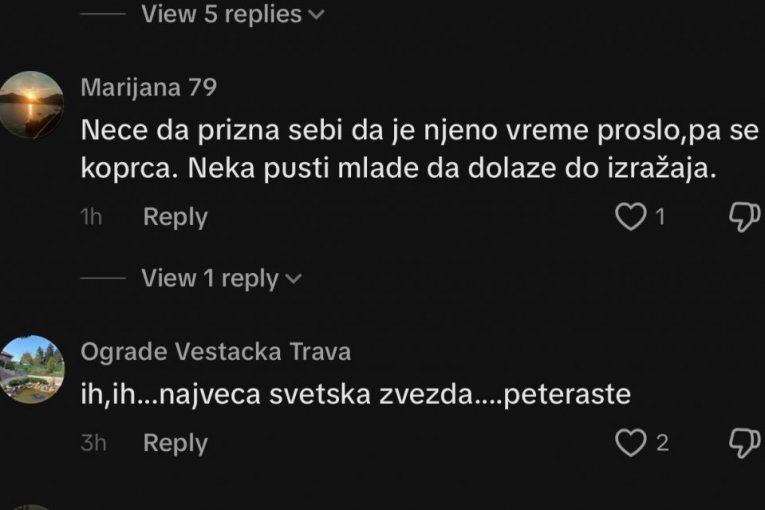 Komentari na račun Lepe Brene