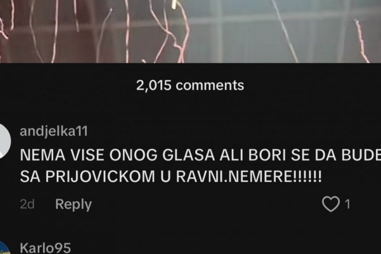 Komentari na račun Lepe Brene