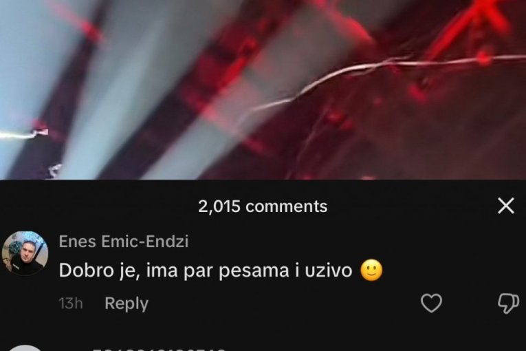 Komentari na račun Lepe Brene