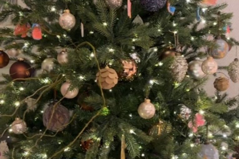 Jelka Jelisavete Orašanin