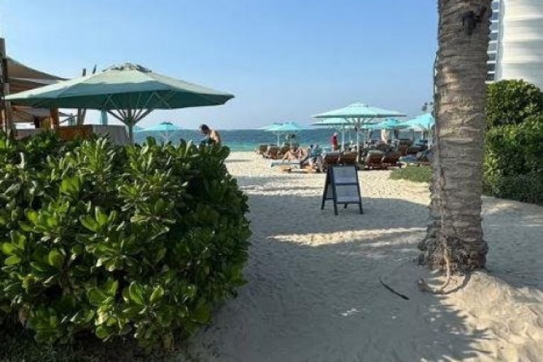 Duško Tošić Instagram