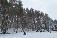 PADA SNEG NA ZLATIBORU! Pogledajte kako se zabelelo uoči Prvog maja: Roštilj sutra uz zimsku opremu (VIDEO)