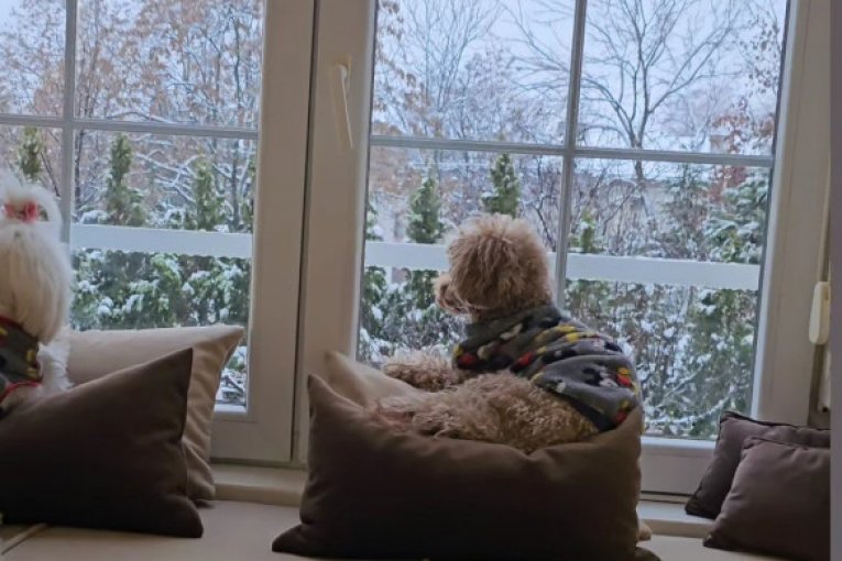 Dom Lidije Vukićević