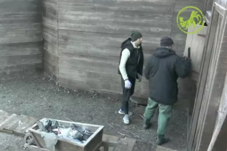 Kristijan Golubović Farma 8