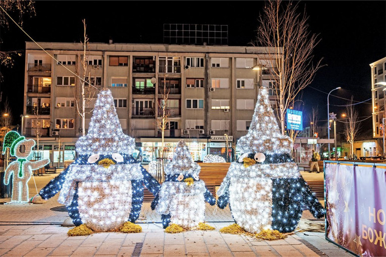 Javno preduzeće "Inđija put" 