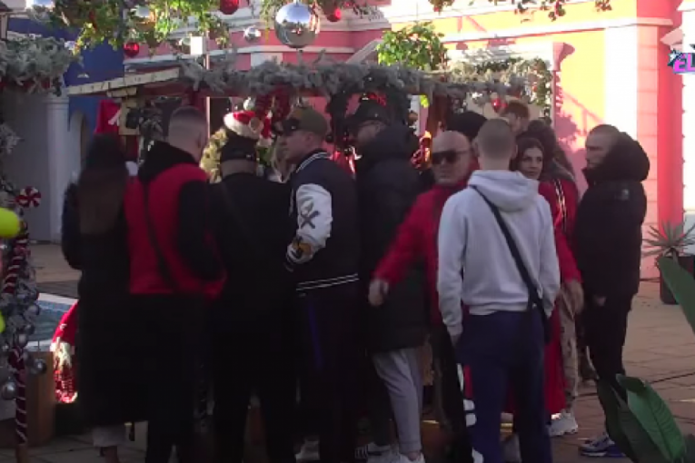 Elita 8 Zadruga uživo