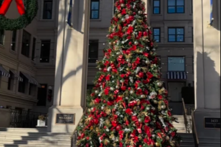 Dalila Dragojević Instagram