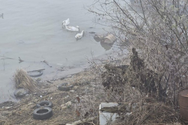 Mesto ubistva Nemanje Žikića