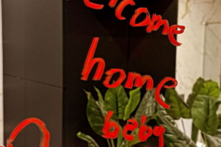 Stan Viktora Živojinovića