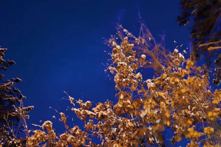 Slobine objave na Instagramu