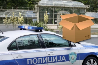 LJUDSKI FETUS BIO SPAKOVAN U POSEBNU KUTIJU! Novi detalji horora u Botaničkoj bašti - pregleda se OVO!