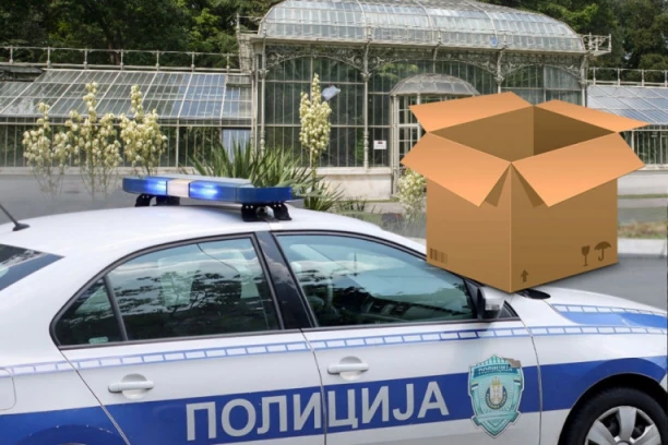 LJUDSKI FETUS BIO SPAKOVAN U POSEBNU KUTIJU! Novi detalji horora u Botaničkoj bašti - pregleda se OVO!