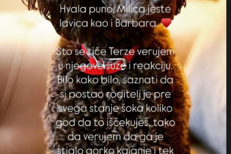 Odgovori Jovane Cvijanović