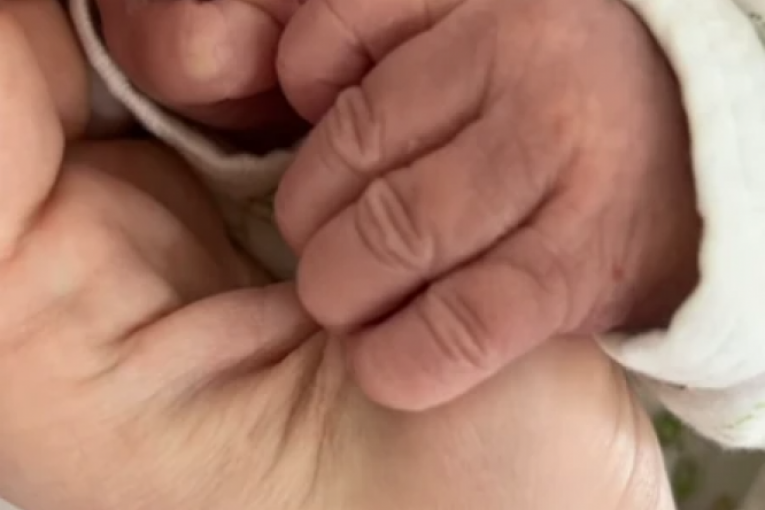 Milica Veličković Instagram