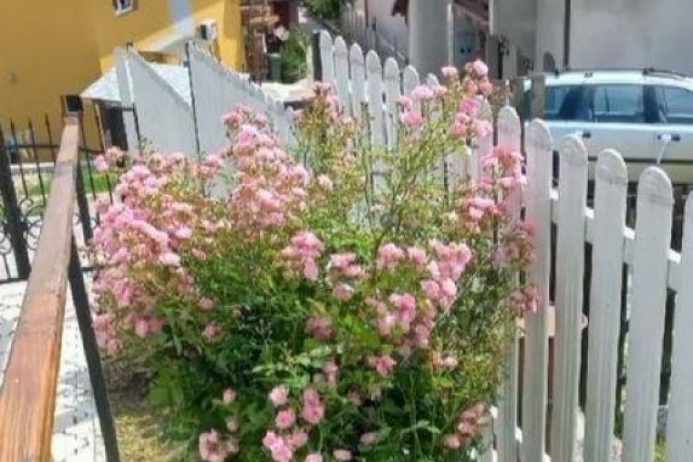 Kuća Željka Joksimovića u Valjevu