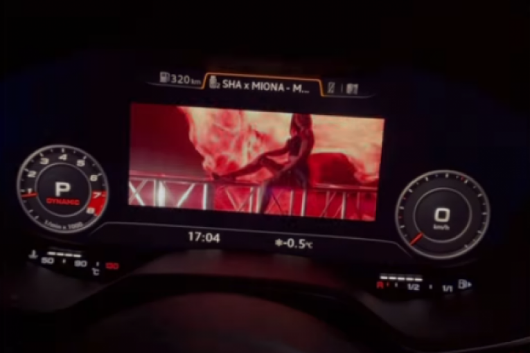 Nenad Aleksić Ša Instagram