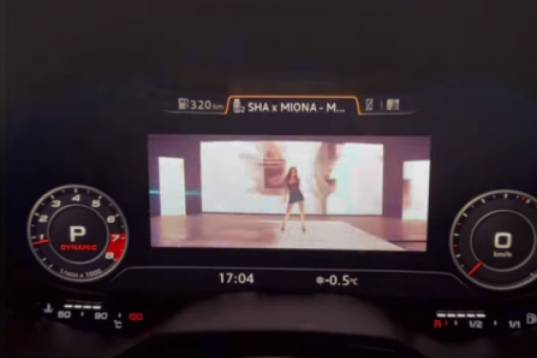 Nenad Aleksić Ša Instagram