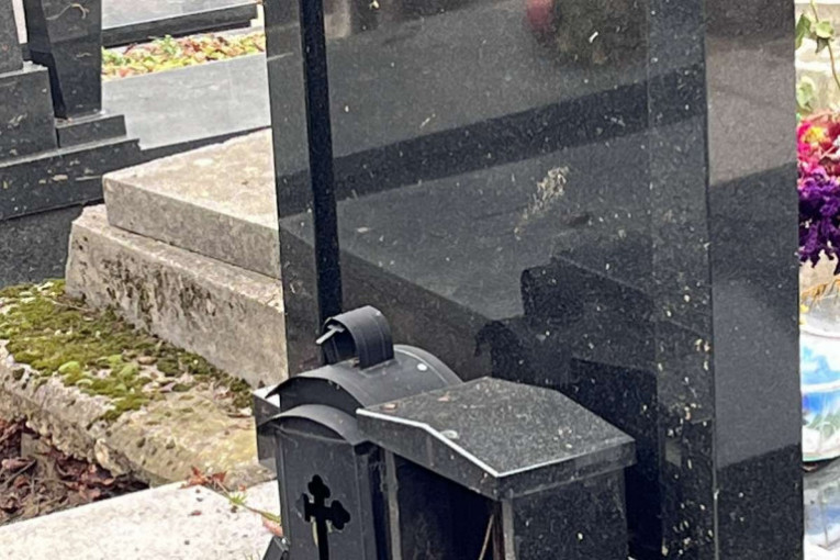 Novo groblje, spomenici Nikole i Vuka Bojovića