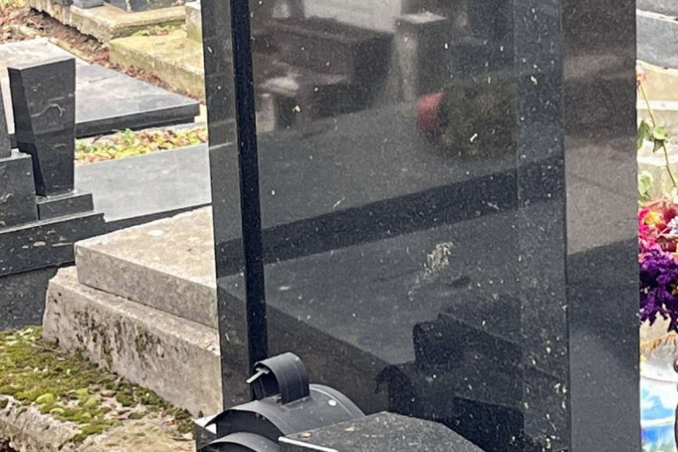 Novo groblje, spomenici Nikole i Vuka Bojovića