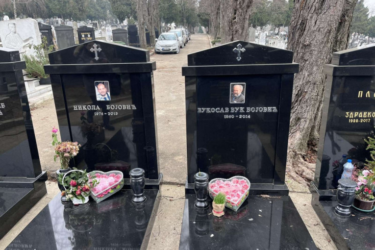 Novo groblje, spomenici Nikole i Vuka Bojovića
