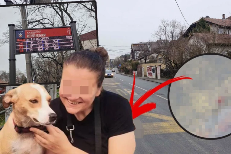 BAHATI VOZAČ POKOSIO POLICAJKU NA PEŠAČKOM PRELAZU! Godinu dana od stravične nesreće na Voždovcu: Suzana je ležala u lokvi krvi dok su PSI CVILELI OKO NJE!