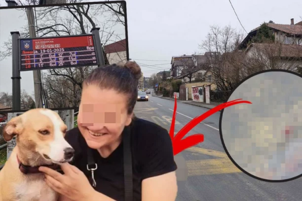 BAHATI VOZAČ POKOSIO POLICAJKU NA PEŠAČKOM PRELAZU! Godinu dana od stravične nesreće na Voždovcu: Suzana je ležala u lokvi krvi dok su PSI CVILELI OKO NJE!