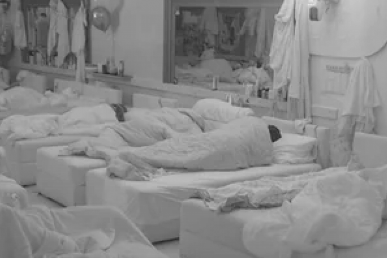 Borislav Terzić Terza ćerka Barbara Elita 8 Zadruga