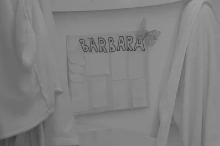 Borislav Terzić Terza ćerka Barbara Elita 8 Zadruga