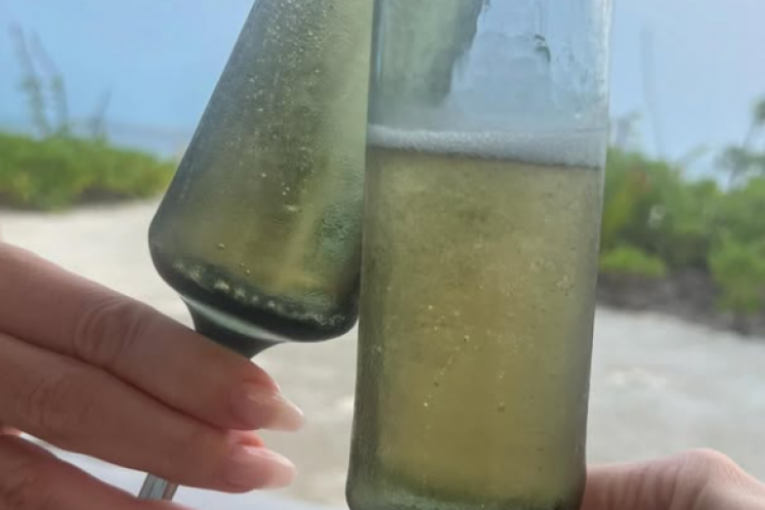 Severina sa Andreom Čermak