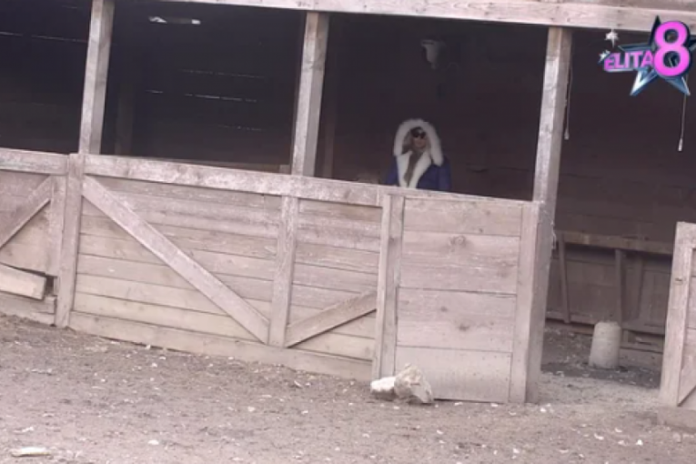 Aneli pobegla u ekonomsko dvorište