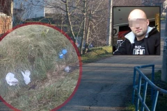 SVEDOCI SVE OTKRILI na suđenju za gaženje čoveka na smrt kod Mladenovca: U LAJVU SE POSVAĐALI,  ČUO SE I UDARAC KOLA U ČOVEKA!