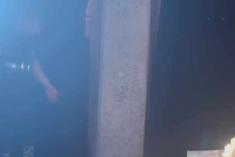 Proslava rođendana Mine Milutinović