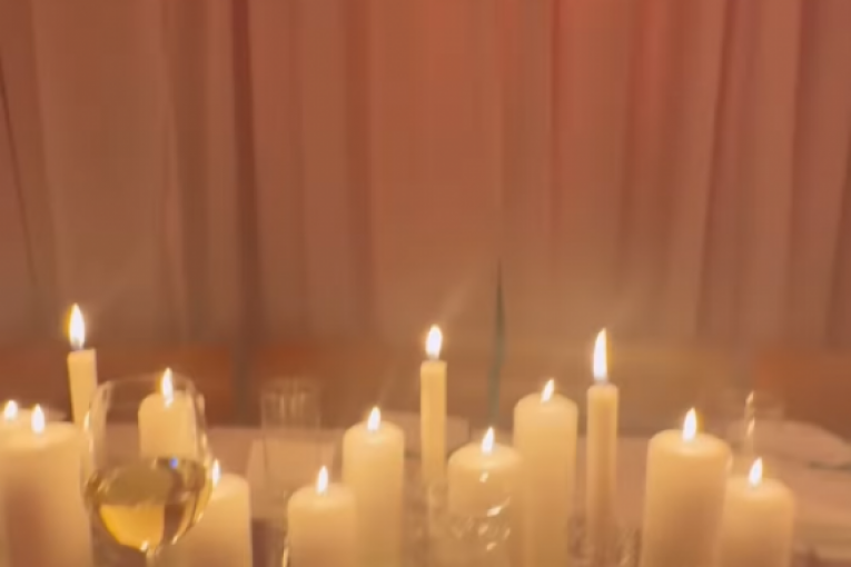 Proslava rođendana Mine Milutinović