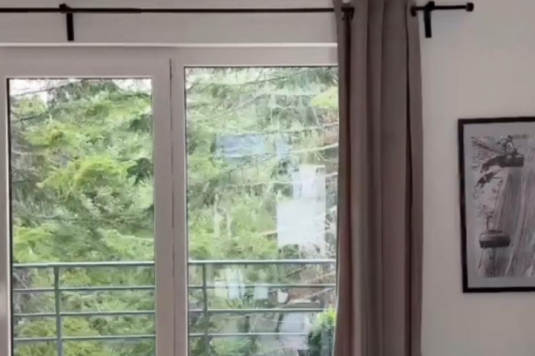 Imanje Mine i Nemanje na Fruškoj gori