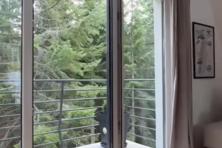 Imanje Mine i Nemanje na Fruškoj gori