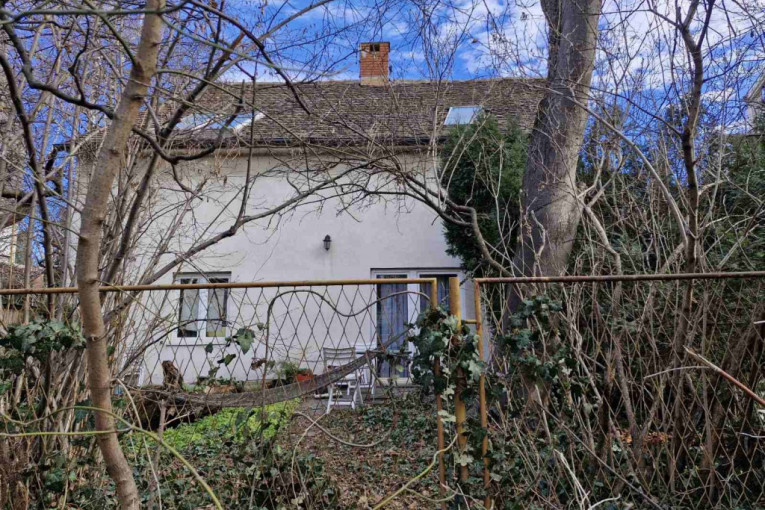 Sin ubio majku na Voždovcu