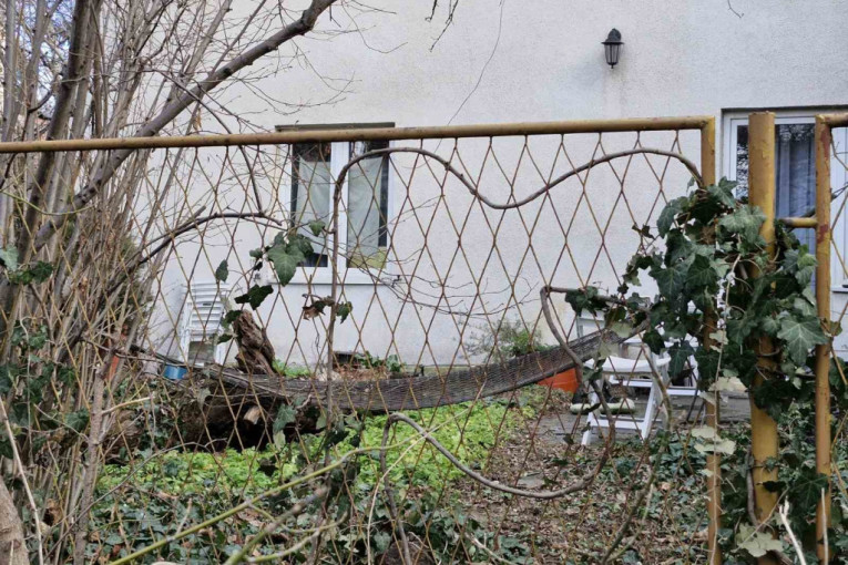 Sin ubio majku na Voždovcu